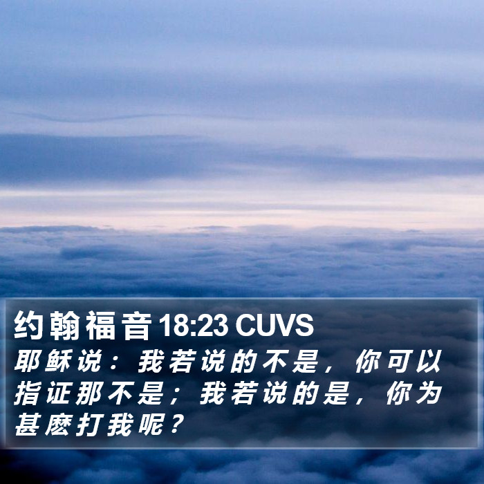 约 翰 福 音 18:23 CUVS Bible Study