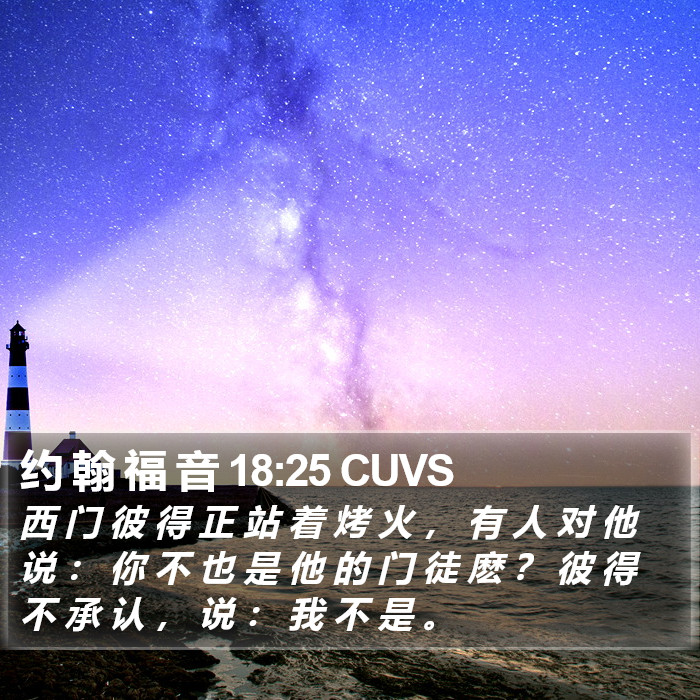 约 翰 福 音 18:25 CUVS Bible Study