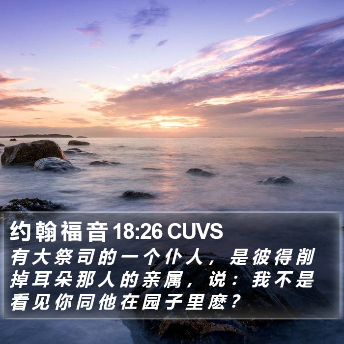 约 翰 福 音 18:26 CUVS Bible Study