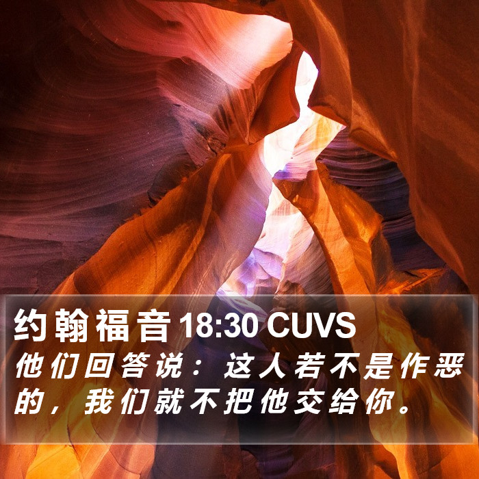 约 翰 福 音 18:30 CUVS Bible Study