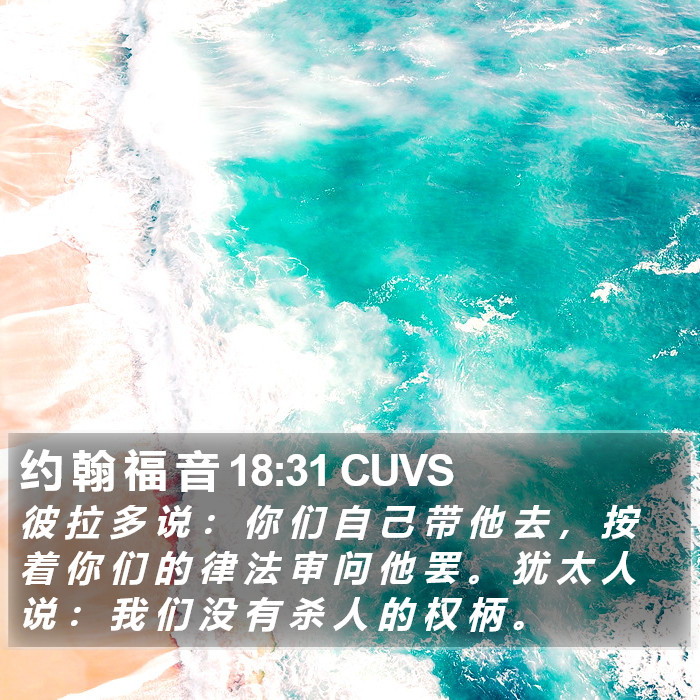 约 翰 福 音 18:31 CUVS Bible Study