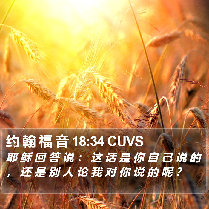 约 翰 福 音 18:34 CUVS Bible Study