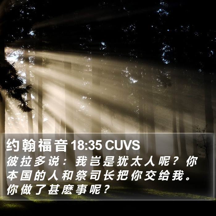 约 翰 福 音 18:35 CUVS Bible Study