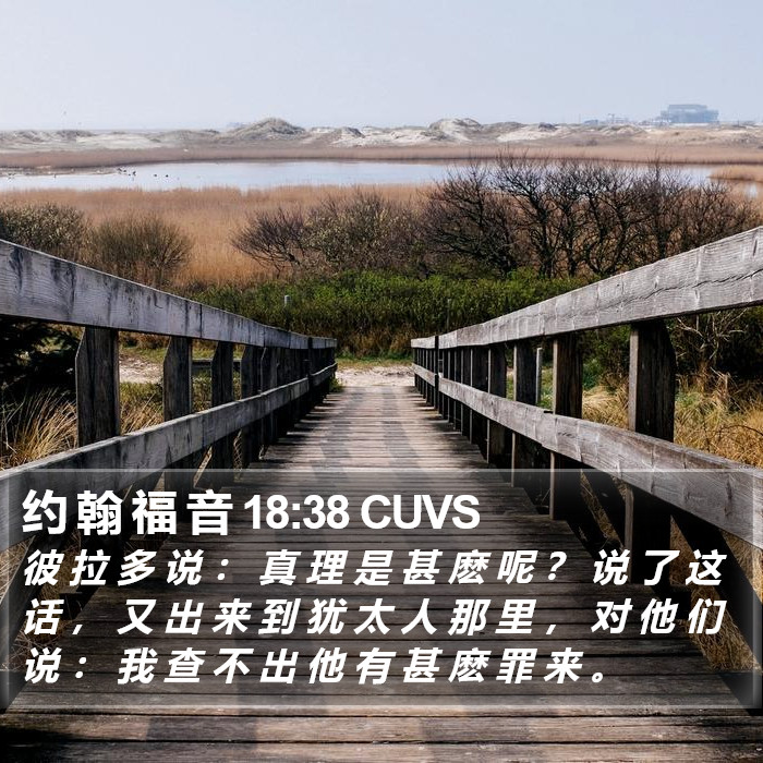 约 翰 福 音 18:38 CUVS Bible Study