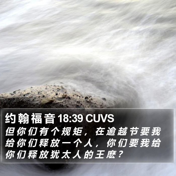 约 翰 福 音 18:39 CUVS Bible Study