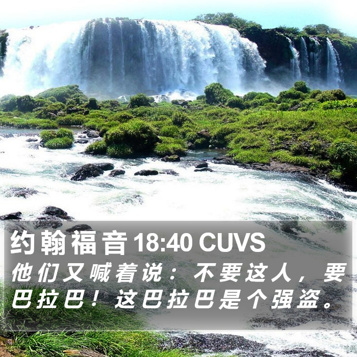 约 翰 福 音 18:40 CUVS Bible Study