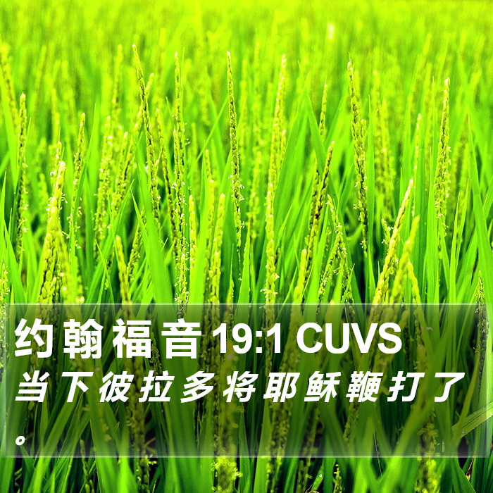 约 翰 福 音 19:1 CUVS Bible Study