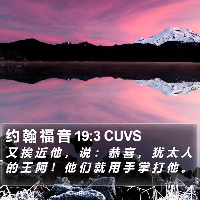 约 翰 福 音 19:3 CUVS Bible Study