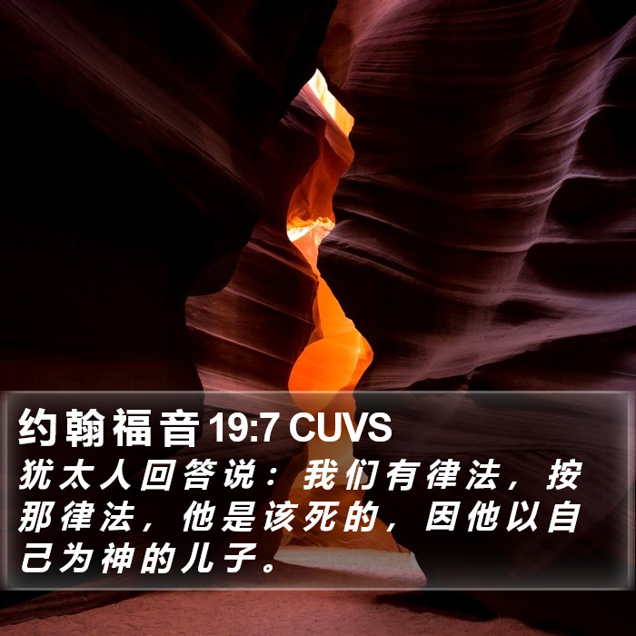 约 翰 福 音 19:7 CUVS Bible Study