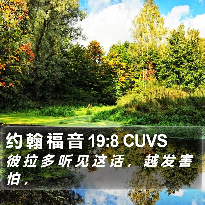 约 翰 福 音 19:8 CUVS Bible Study