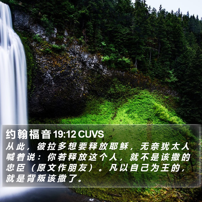 约 翰 福 音 19:12 CUVS Bible Study