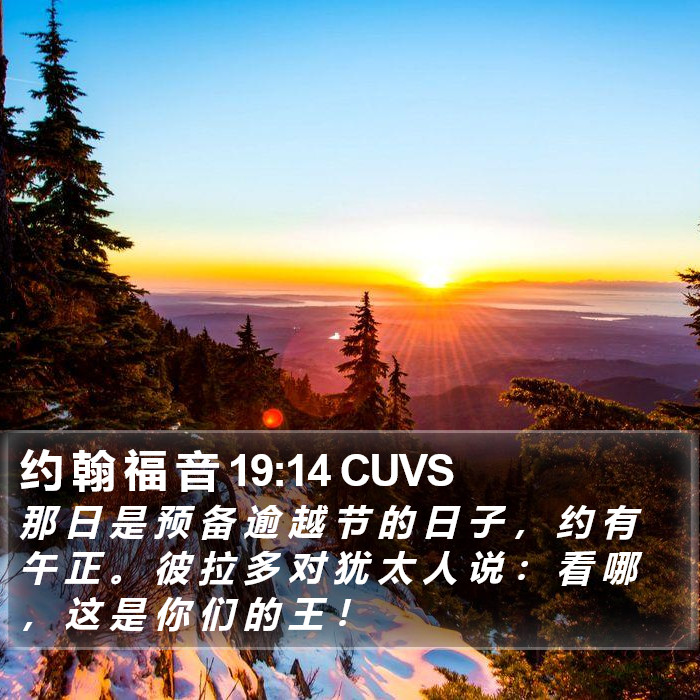 约 翰 福 音 19:14 CUVS Bible Study