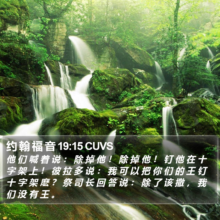 约 翰 福 音 19:15 CUVS Bible Study