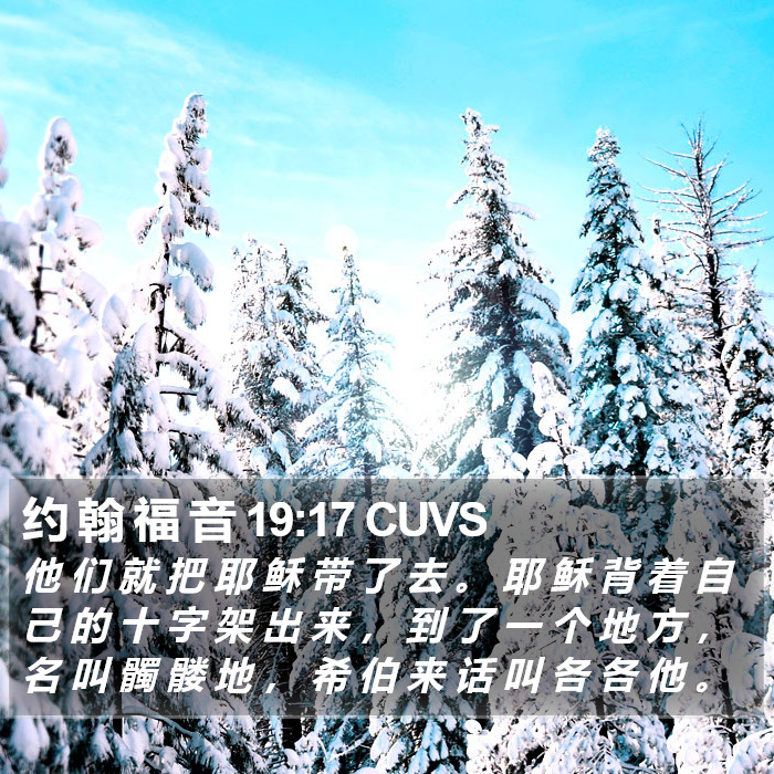 约 翰 福 音 19:17 CUVS Bible Study