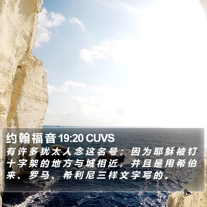 约 翰 福 音 19:20 CUVS Bible Study