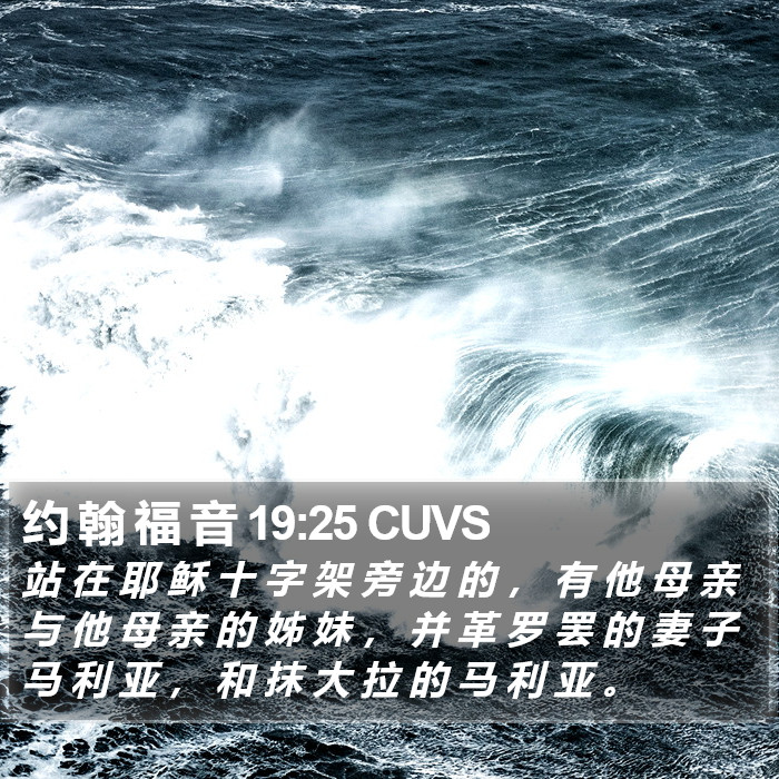 约 翰 福 音 19:25 CUVS Bible Study