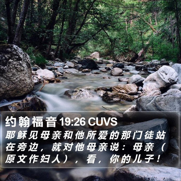 约 翰 福 音 19:26 CUVS Bible Study