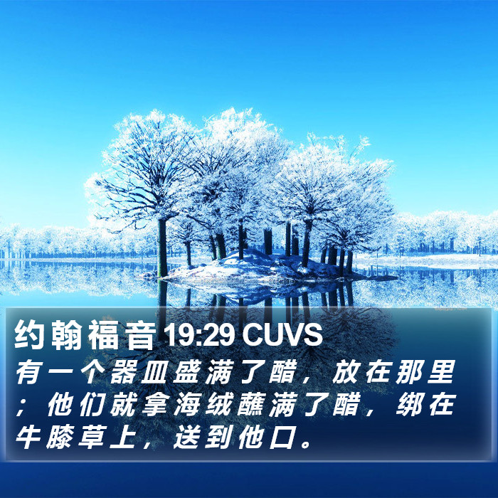 约 翰 福 音 19:29 CUVS Bible Study