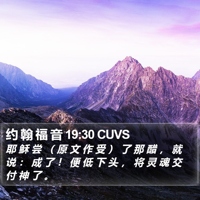 约 翰 福 音 19:30 CUVS Bible Study