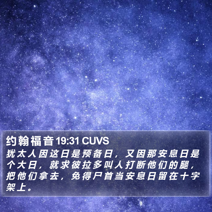 约 翰 福 音 19:31 CUVS Bible Study