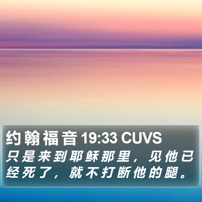 约 翰 福 音 19:33 CUVS Bible Study