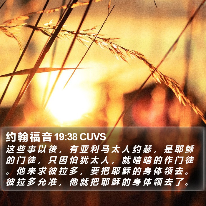 约 翰 福 音 19:38 CUVS Bible Study