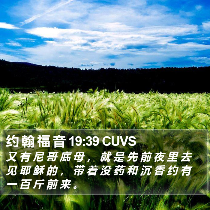 约 翰 福 音 19:39 CUVS Bible Study