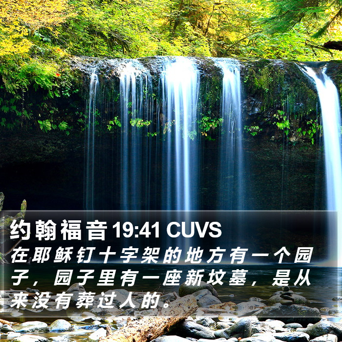 约 翰 福 音 19:41 CUVS Bible Study