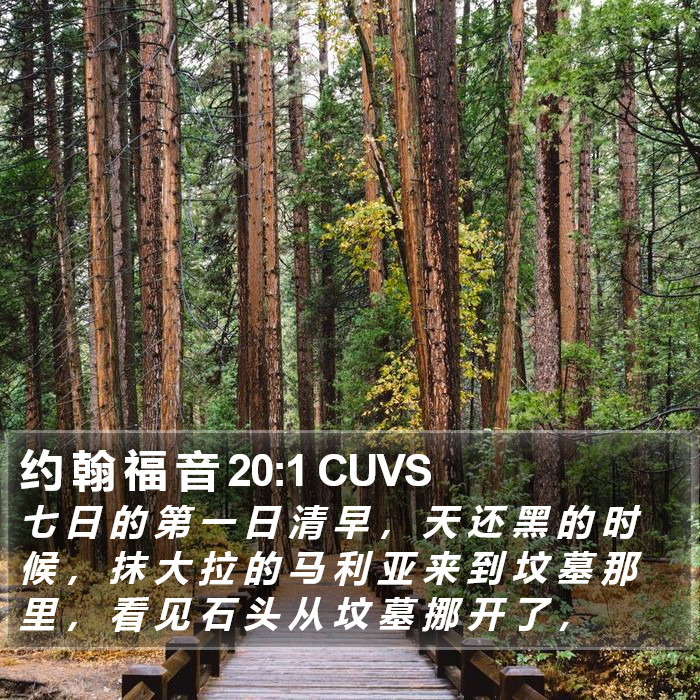 约 翰 福 音 20:1 CUVS Bible Study