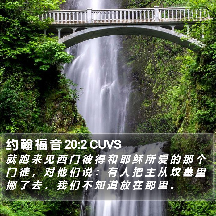 约 翰 福 音 20:2 CUVS Bible Study