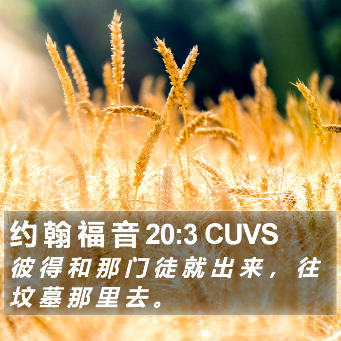 约 翰 福 音 20:3 CUVS Bible Study