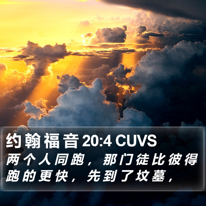 约 翰 福 音 20:4 CUVS Bible Study