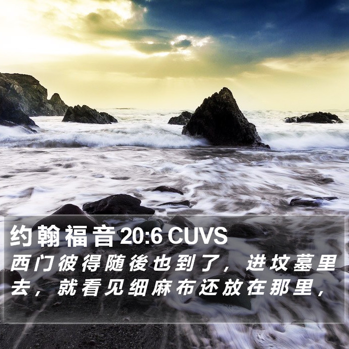 约 翰 福 音 20:6 CUVS Bible Study