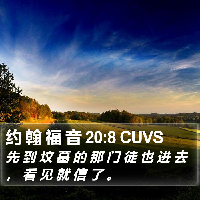 约 翰 福 音 20:8 CUVS Bible Study