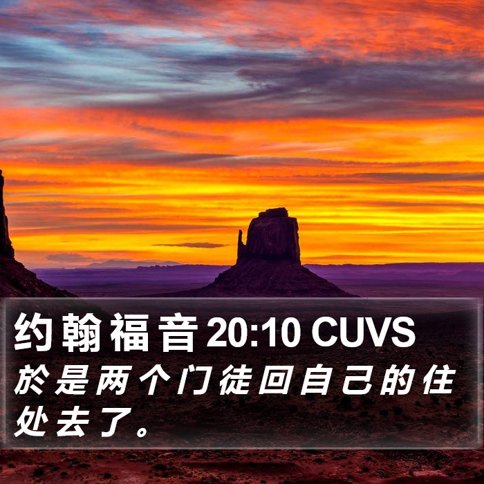 约 翰 福 音 20:10 CUVS Bible Study