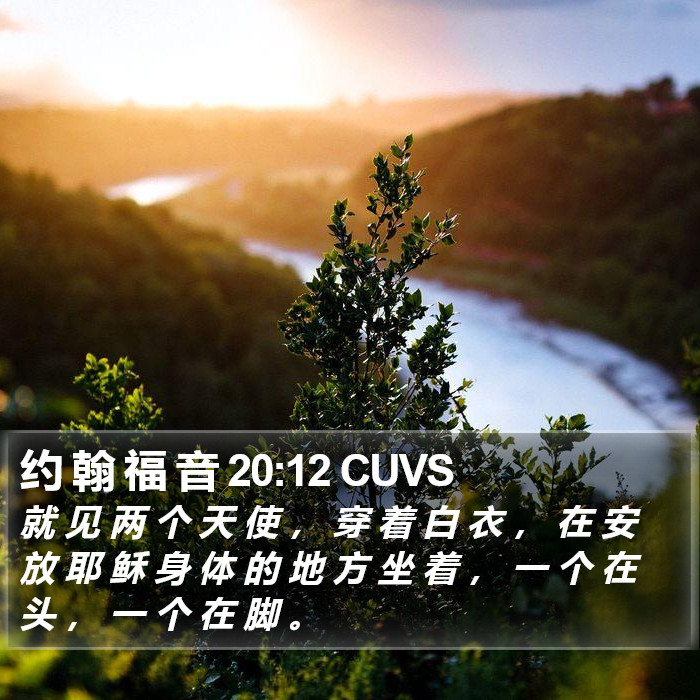 约 翰 福 音 20:12 CUVS Bible Study