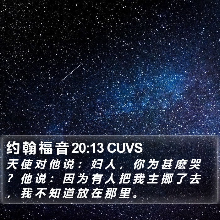 约 翰 福 音 20:13 CUVS Bible Study