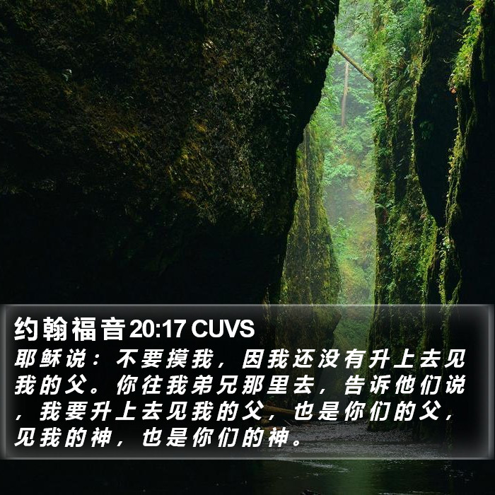 约 翰 福 音 20:17 CUVS Bible Study