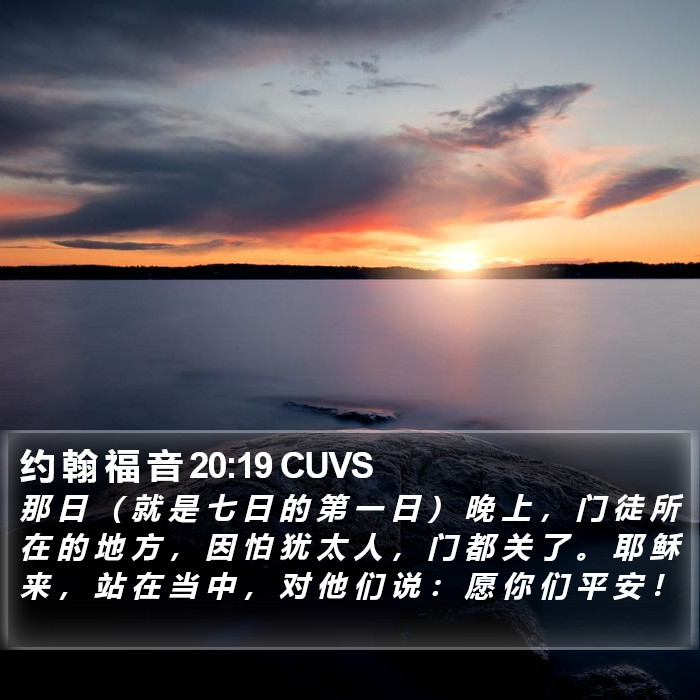 约 翰 福 音 20:19 CUVS Bible Study