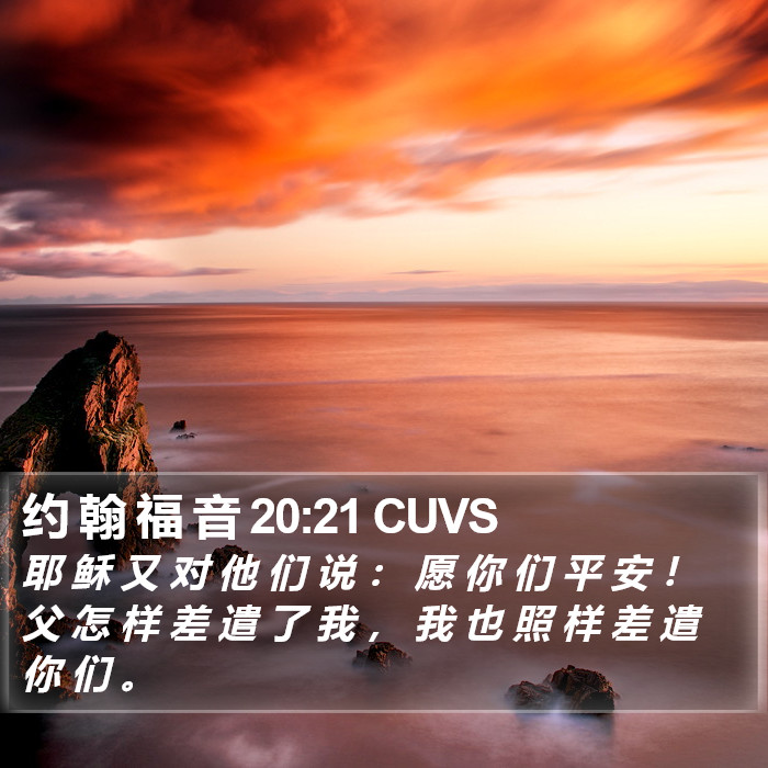 约 翰 福 音 20:21 CUVS Bible Study