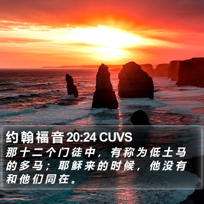 约 翰 福 音 20:24 CUVS Bible Study