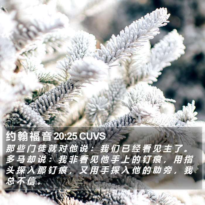 约 翰 福 音 20:25 CUVS Bible Study