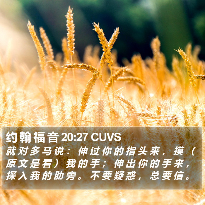 约 翰 福 音 20:27 CUVS Bible Study