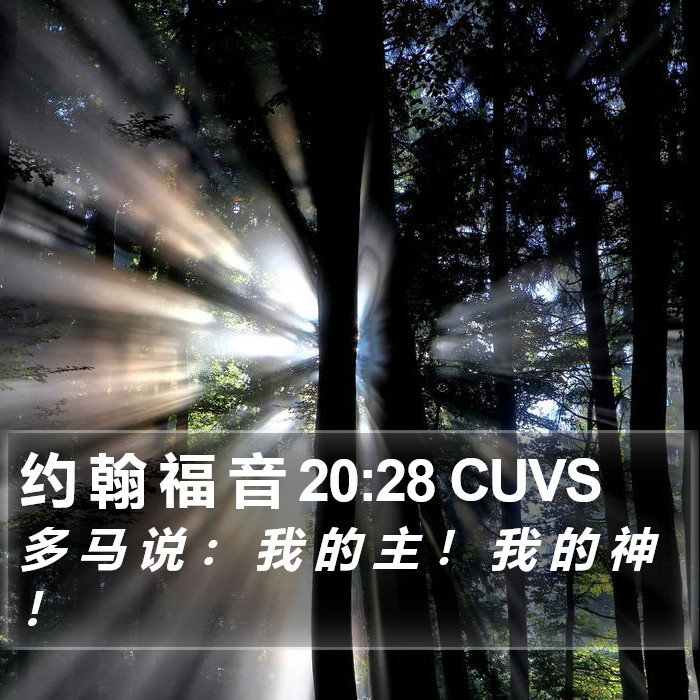 约 翰 福 音 20:28 CUVS Bible Study