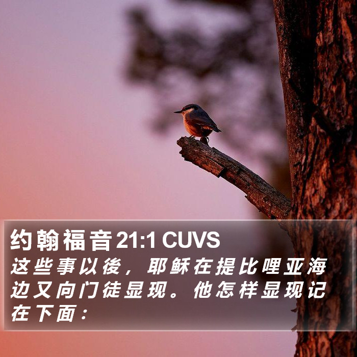 约 翰 福 音 21:1 CUVS Bible Study