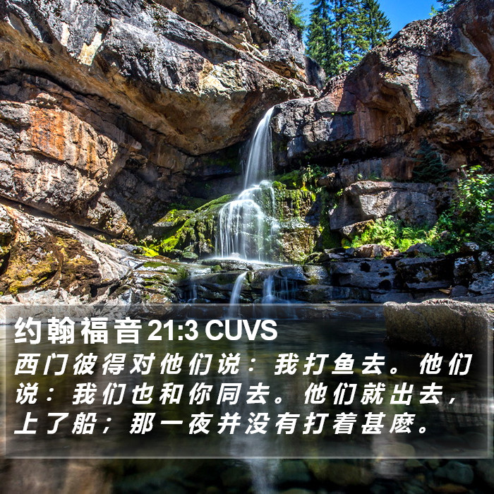 约 翰 福 音 21:3 CUVS Bible Study