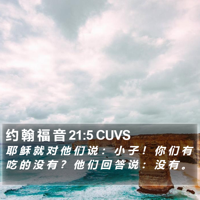 约 翰 福 音 21:5 CUVS Bible Study