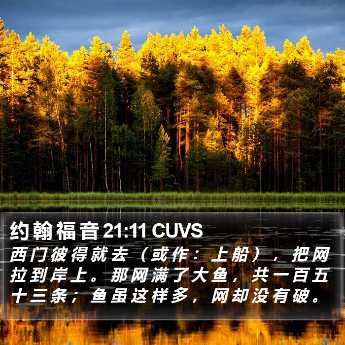 约 翰 福 音 21:11 CUVS Bible Study