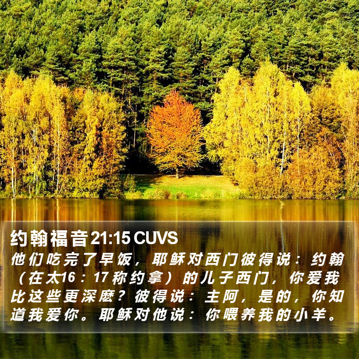 约 翰 福 音 21:15 CUVS Bible Study