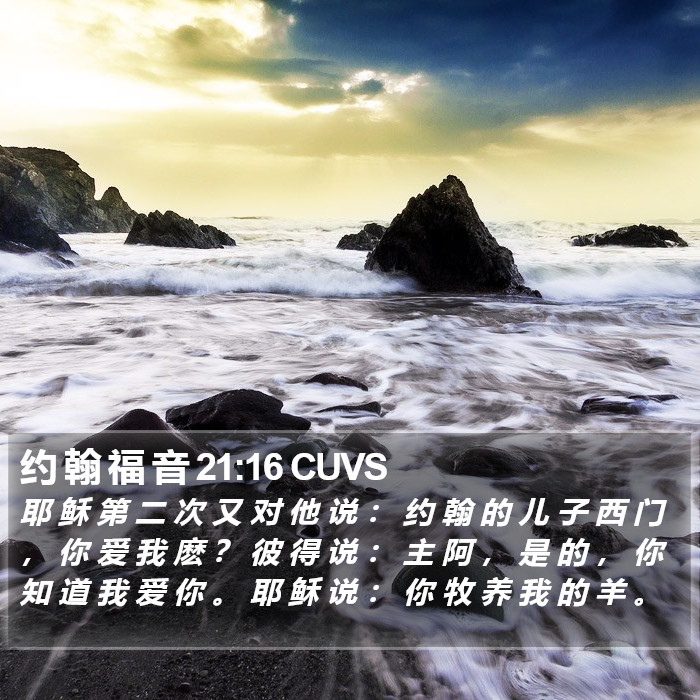 约 翰 福 音 21:16 CUVS Bible Study